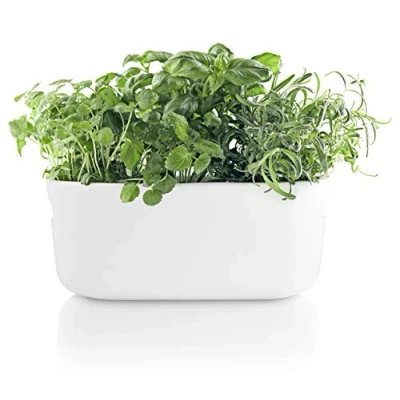 Image of Eva Solo Self Watering herb Organiser White