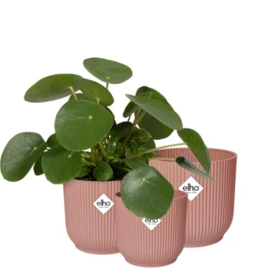 Image of elho Vibes Fold Round Flower Pots from 100% Recycled Plastic Indoor Plant Set of 3 Ø 14, 16, 18 cm Pink/Delicate Pink