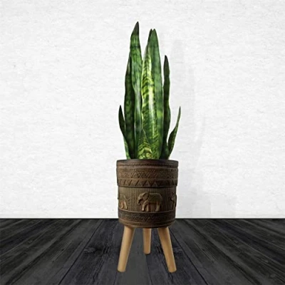 Image of Leaf Extra Large Cachepot Planters, Wood, 40cm Zandi Elephant