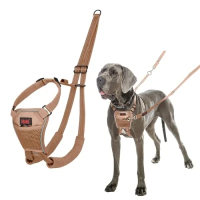 Image of HALTI No Pull Harness to Stop Your Dog Pulling on the Leash. Adjustable, Lightweight and Easy Use. Reflective Training for Large Dogs (Size L, Desert Sand)