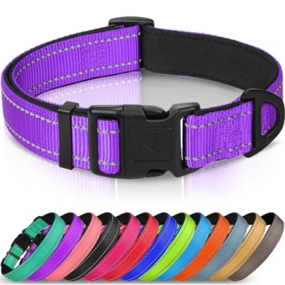 Image of Joytale Dog Collar, Reflective Padded Neoprene Pet Adjustable Nylon Collars for Small Dogs, S, Purple