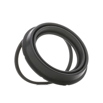 Image of 4B0698471, 4B0698471A, 7H0698471 Gasket Set, brake caliper ATE 11.0441 6008.2 BMW: 5 Saloon, 7, 6 Convertible, VOLKSWAGEN: Transporter