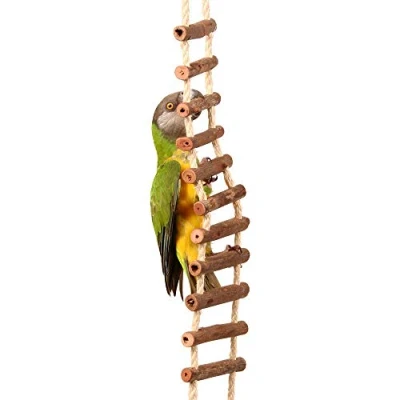 Image of Natural Log Ladder Bridge Parrot Toy Large African Greys Conures Amazons