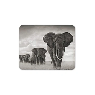 Image of Destination Vinyl Ltd Elephant Herd Mouse Mat Pad Nature Mum Sister Student Computer #8955
