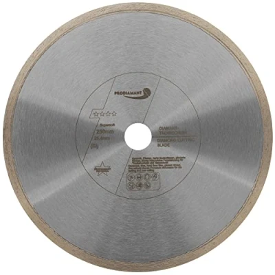 Image of PRODIAMANT Premium Diamond Saw Blade Tile 250 mm x 25.4 Cutting Disc PDX846.700 250mm