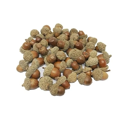 Image of Bright Ideas Natural Acorns, Wood, 2 3cm