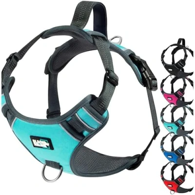 Image of Black Rhino Comfort Dog Harness with Mesh Padded Vest for Small Large Breeds Adjustable, Reflective 2 Leash Attachments on Chest &amp; Back Neoprene Training Handle Small, Aqua Green
