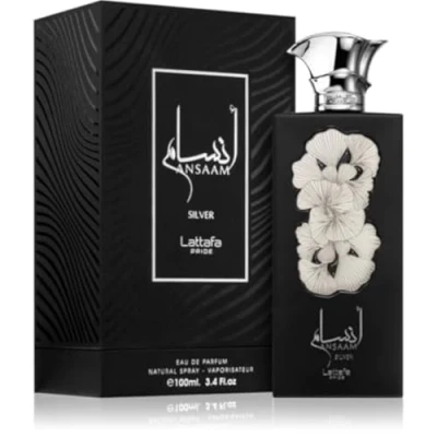Image of ANSAAM SILVER 100ML