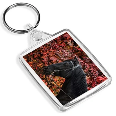 Image of Beautiful Black Horse Keyring Stallion Pony Equestrian Riding #8774