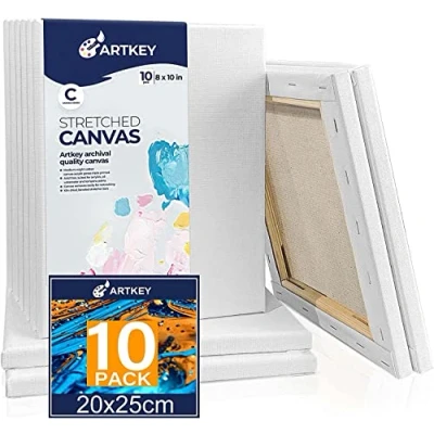 Image of Stretched Canvas for Painting 20x25cm 10 Pack, 300 GSM Triple Primed Acid Free 100% Cotton Framed Canvas, Blank Art Canvases Acrylics Pouring Oil Watercolor