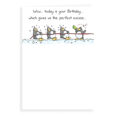 Image of Regal Publishing Humour Funny Birthday Card Perfect excuse 7 x 5 inches