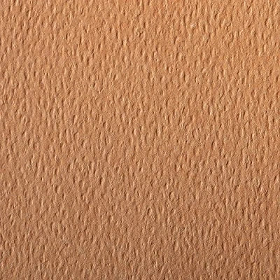 Image of Clairefontaine Ref 90887C Etival Coloured Grained Drawing Paper (Pack of 5 Sheets) A4 (29.7 x 21cm) 160gsm Cellulose Art Salmon Acid Free, pH Neutral