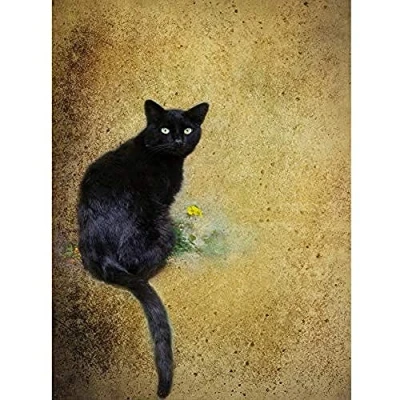 Image of Wee Blue Coo Black Cat Yellow Flower Unframed Wall Art Print Poster Home Decor Premium