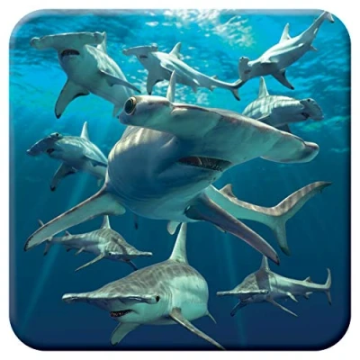 Image of 3D LiveLife Cork Coaster Hammerhead Sharks from Deluxebase. Lenticular Ocean Coaster. Non slip drinks mat with original artwork licensed renowned artist, David Penfound