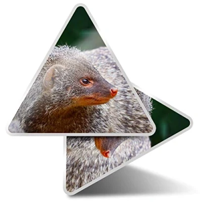 Image of 2 x Triangle Stickers 10 cm Banded Mongoose African Fun Decals for Laptops,Tablets,Luggage,Scrap Booking,Fridges #12482