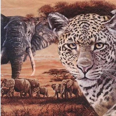 Image of Anniversary House Tiflair Luxury Napkins Safari Animals Design, Thick and Strong Lunch 3 ply, PJ346072