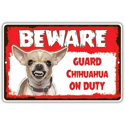 Image of Beware Guard Chihuahua Dog On Duty Warning Wall Art Decor Metal Sign Poster 8X12 Inches