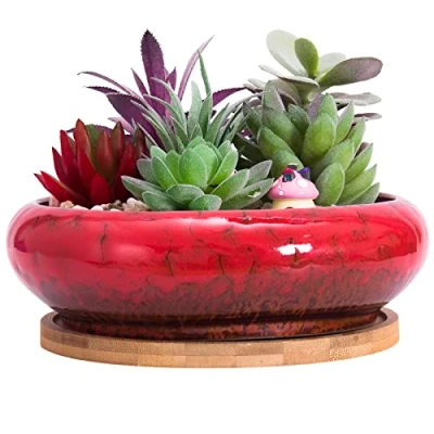 Image of ARTKETTY Succulent Plant Pot, 18.5CM Large Bonsai Pot with Tray Ceramic Drainage Hole Shallow Cactus Flower Pots for Indoor/Outdoor Plants Glazed Planter Bowl, Red
