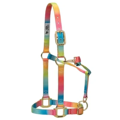 Image of Weaver Leather Polyester Rainbow Adjustable Chin and Throat Snap Halter, 1&quot; Small Horse
