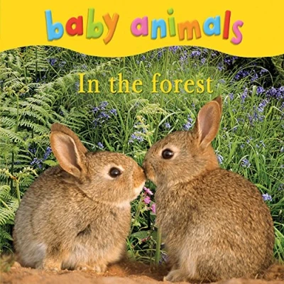 Image of Baby Animals: In the Forest
