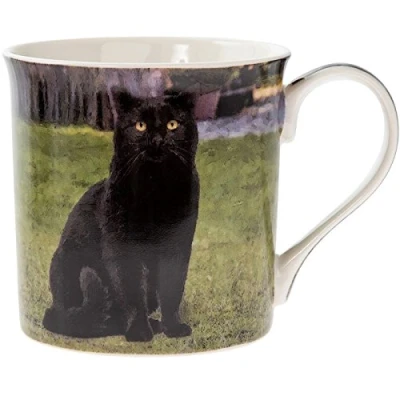 Image of Black cat Mug Tea with Gift for Lady Lover Cats Lovers Women
