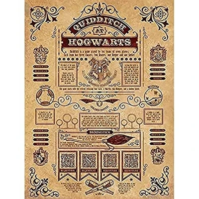Image of Pyramid International HARRY POTTER Canvas Print Official Quidditch Rules 60cm x 80cm Merchandise