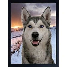 Image of Faithful Friends SIBERIAN HUSKY DOG 3D FRIDGE MAGNET