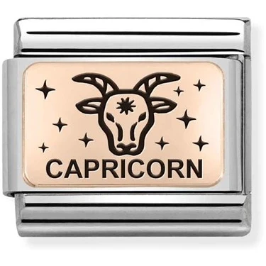 Image of Nomination Rose Gold Capricorn Charm