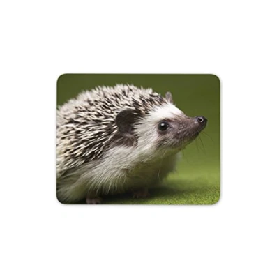 Image of Cute Hedgehog Mouse Mat Pad Kids Fun Animal Hog PC Computer #8246