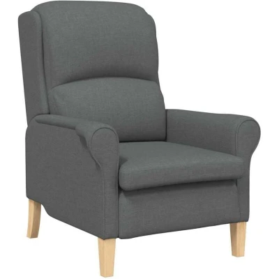 Image of vidaXL Modern Armchair Dark Grey Fabric, Wood Medium Durable