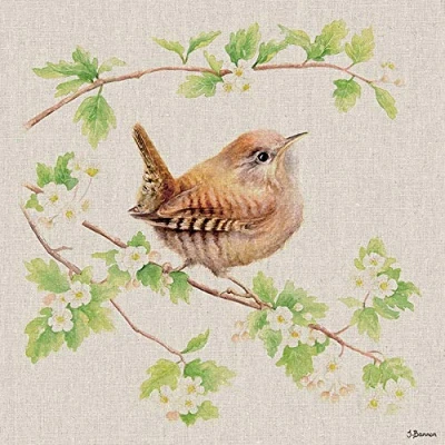 Image of Jane Bannon WDC91682 Canvas Print 30 x cm (Jenny Wren), Multi Colour,
