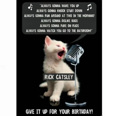 Image of Rick Catsley Funny Cat Birthday Card Greeting Humorous Astley FF8922