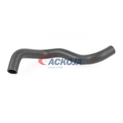 Image of 19505RBA000 Radiator Hose ACKOJA A26 1605 Lower