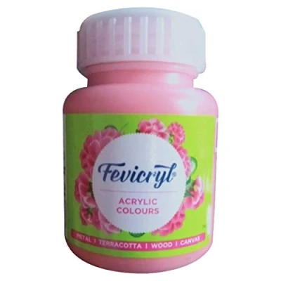 Image of Acrylic &amp; Multi Surface Paint Colour for Art Craft (100 Ml Btl) Pidilite Fevicryl (SALMON PINK)