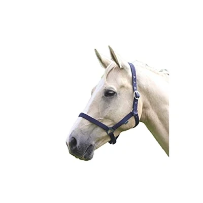 Image of Shires Wessex Pony/Horse Headcollar Cob Navy Blue