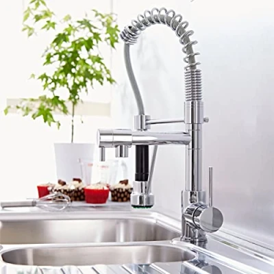 Image of Nes Home Mono Pull Out Kitchen Mixer Tap Dual Spout Spray Chrome