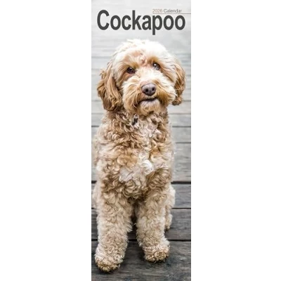 Image of Cockapoo Slim Calendar 2026