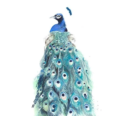 Image of Wee Blue Coo Bird Peacock Watercolour Art Print Poster Wall Decor 12X16 Inch