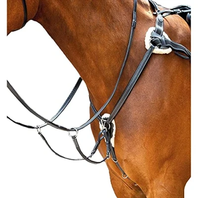 Image of Shires Salisbury Five Point Breastplate Cob Black