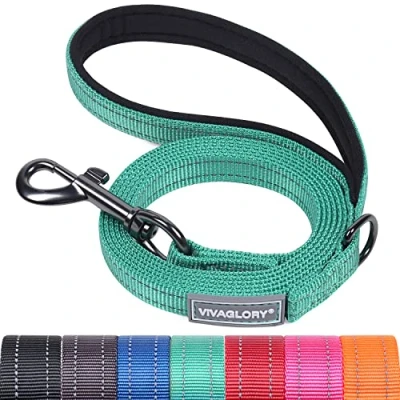 Image of VIVAGLORY Dog Lead, Walking Lead with Comfortable Neoprene Padded Handle, Heavy Duty Training for Small &amp; Medium Dogs