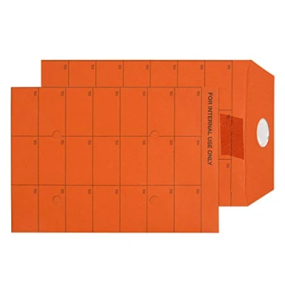 Image of Blake Purely Everyday C5 229 x 162 mm 120 gsm Manilla Internal Mail Resalable Envelopes (18350RES) Orange Pack of 500