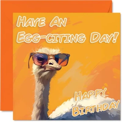 Image of Funny Birthday Cards for Women Men Cool Ostrich Sunglasses Happy Card Mum Dad Brother Sister Uncle Auntie Cousin Grandad Nanny Friend 145mm x Joke Pun Greeting