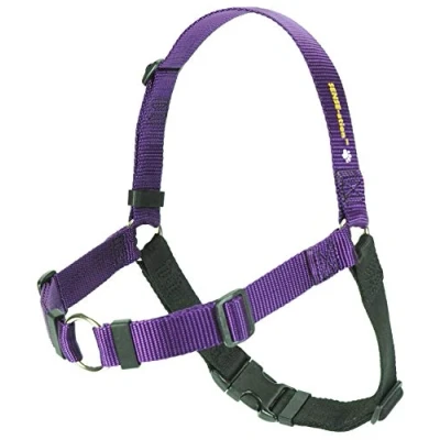 Image of Sense Ation Harness No Pull Dog Purple Medium/Large (Wide)