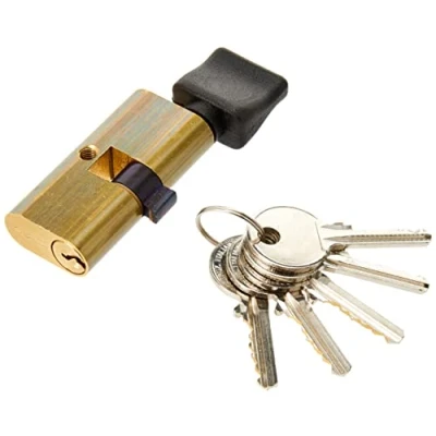 Image of Lock Cylinder Inf.Oval. 55.4 27.7 P08230 02 0 Cisa