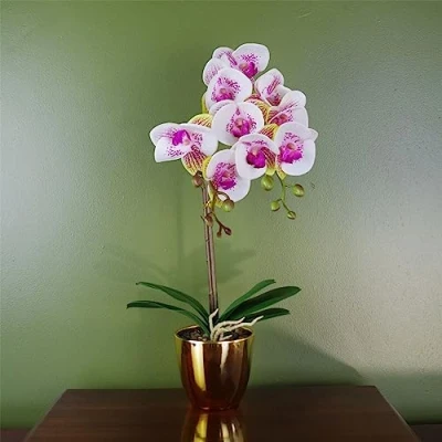 Image of Leaf 48cm Harlequin Orchid Artificial Pink with Gold Pot