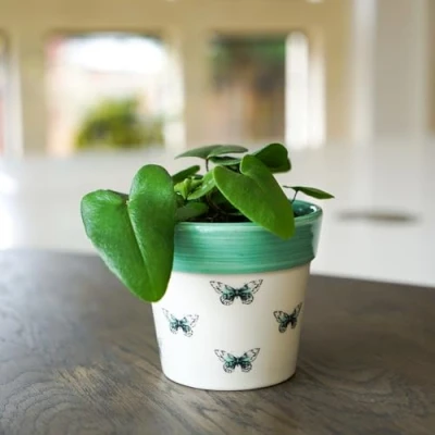 Image of Ivyline Planter, Ceramic, Butterfly, 10 x 10cm