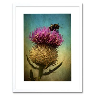 Image of Wee Blue Coo Photo Bumble Bee Thistle Flower Scotland Framed Art Print Picture F12X840