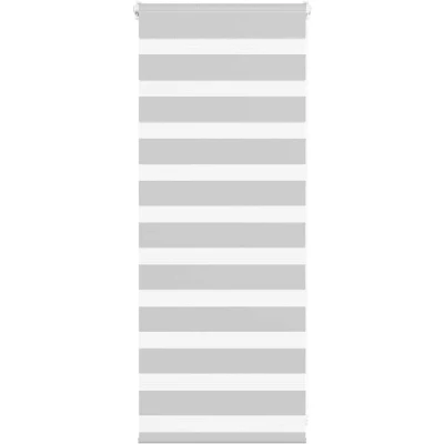 Image of vidaXL Zebra Blind Light Grey 55x100 cm Fabric Width 50.9 Polyester