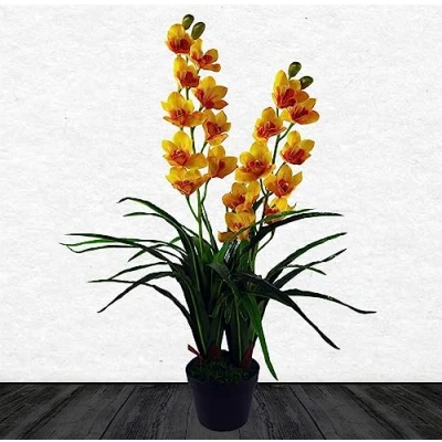 Image of Leaf 90cm Yellow Flower Orchid Plant