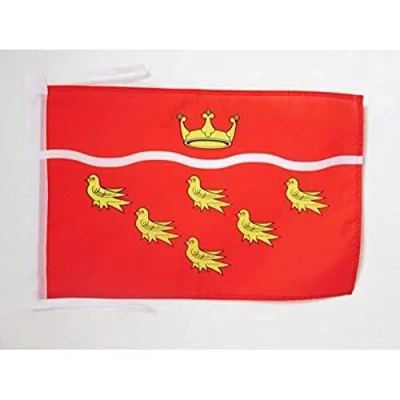 Image of AZ Flag East Sussex county 18&#039;&#039; x 12&#039;&#039; 100% Polyester England Small Banner with Two Cords Fade Resistant Vivid Colors 18x12 in 45x30 Cm